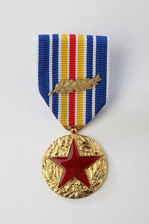 Médaille des blessés militaires 5 blessures